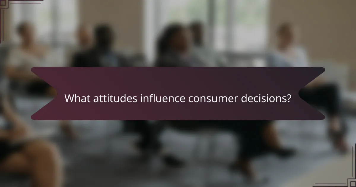 What attitudes influence consumer decisions?